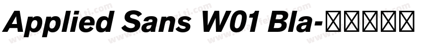 Applied Sans W01 Bla字体转换